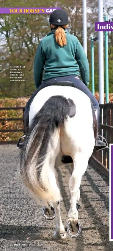  ??  ?? A crooked tail is seen six times more often in lame horses than non-lame ones
MARCH 2020