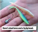  ??  ?? Dave’s shad lures and a 3g jig head.