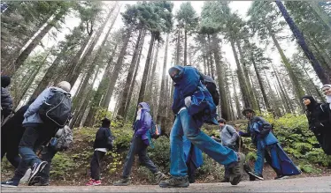  ?? DAN HONDA — BAY AREA NEWS GROUP ?? Hikers make their way through the Tuolumne Grove of giant sequoias in Yosemite National Park.