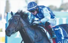  ?? Picture: AAP IMAGE ?? Jockey Jeff Lloyd, riding Plucky Girl, brings up his fourth win at the Gold Coast meeting.