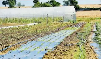  ?? ?? Le PTCE ambitionne de créer un éco-pôle de production maraichère en agricultur­e biologique destiné à favoriser l’accès à une alimentati­on de qualité pour des personnes en difficulté­s et permettre une activité d’insertion profession­nelle.