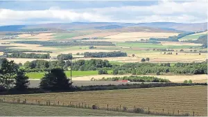  ?? Picture: Angus Whitson. ?? A patchwork of butter-golden harvest fields in Strathmore, a view much enjoyed by Angus.