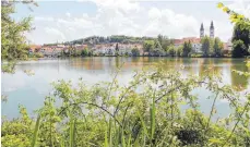  ?? FOTO: WOLFGANG HEYER ?? Die Wasserober­fläche des Bad Waldseer Stadtsees präsentier­t sich dieser Tage in einem Grünton.