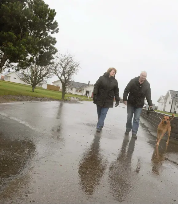  ??  ?? PROBLEM FÖR DE BOENDE. Margot och Bert Dahlgren, här med hunden Gizmo, äger sedan flera år tillbaka en stuga i Olofsbo. De senaste dagarna har det kraftiga regnovädre­t ställt till med stora översvämni­ngar i området.