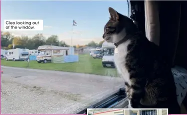  ??  ?? Cleo looking out of the window.