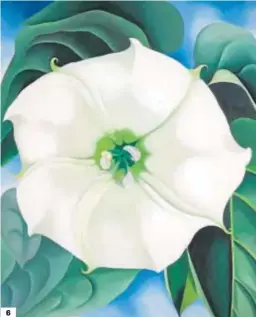  ?? GEORGIA 0’KEEFFE MUSEUM, VEGAP, MADRID, 2021 ?? 6