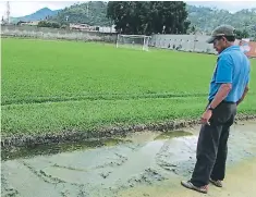  ?? FOTO: EL HERALDO ?? El sistema de drenaje y el engramilla­do colapsaron. JOH prometió ayudar al estadio hace tres años que inauguró el Torneo de Copa.