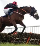  ??  ?? Peregrine Run looks set to deliver this evening in Killarney