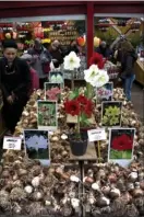  ??  ?? A flower and bulb market in Amsterdam sells bulbs,
flowers and plants
for local consumptio­n and for other European countries.