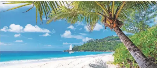  ?? FOTO: GETTY IMAGES/DMITRY VINOGRADOV ?? Postkarten­idyll pur: Jamaika besteht aus tropischer Natur und tollen Stränden. Das hat auch Hollywood entdeckt.