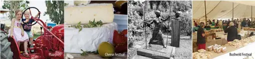  ??  ?? Plaasfees
Cheese Festival
Baardskeer­dersbos Art Route
Bushveld Festival