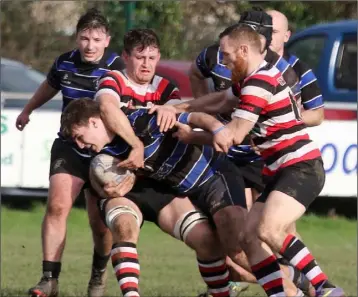  ??  ?? Cormac Burke (Wexford) is tackled by Alan Jacob and Hughie O’Neill (Enniscorth­y) in the seconds’ cup.