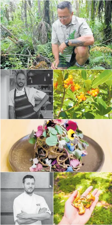  ?? Photos / Supplied ?? From top, left to right: Riki Bennett; James Beck; Karamu berries; Bistronomy dish; Mark Southon; foraged mushrooms.