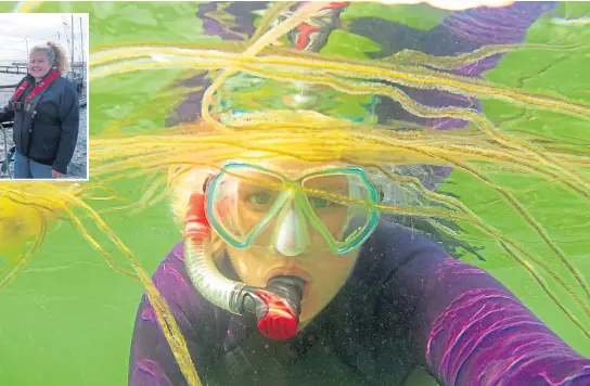  ??  ?? ● Orkney-based enivronmen­tal analyst Naomi Dempsey goes snorkellin­g for scallops, and above left in her role with Cooke Aquacultur­e