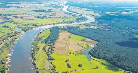  ?? FOTO: DPA ?? Ein Naturparad­ies: die Elbe, aufgenomme­n am 27. August 2014 bei Bleckede (Niedersach­sen).