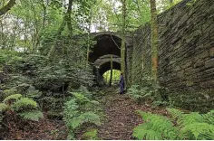  ?? ?? ● Healey Dell Nature Reserve