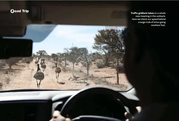  ??  ?? Traffic gridlock takes on a whole new meaning in the outback: here we check our speed behind a large mob of emus going nowhere fast.