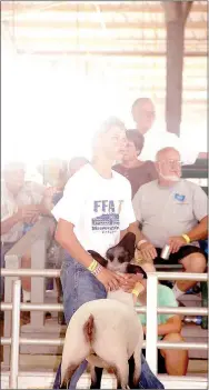  ?? PHOTO SUBMITTED ?? Isaiah Garvin shows a sheep at the Missouri State Fair.