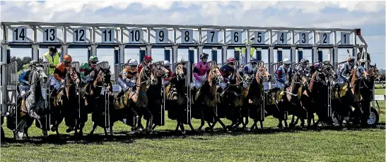  ?? PHOTO: ANDY JACKSON/STUFF ?? Trisha Lea came out and won the 2100m race at Egmont.