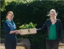  ?? FOTO KAREL HEMERIJCKX ?? 120 initiatiev­en kregen vrijdag een plantenbak, onder meer de ouderraad van basisschoo­l De Schuit.