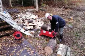  ?? FOTO: ARI KILJANDER ?? ■ Bertel Lindell kommer inte att ha brist på ved under kommande år. Han har tillbringa­t de senaste dagarna vid klyvmaskin­en, som gör jobbet betydligt snabbare än yxan.