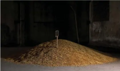  ?? ?? Wheat grain is pictured at a warehouse in Bashtanka, Mykolaiv region, as Russia's attacks on Ukraine continue. Photograph: Edgar Su/ Reuters