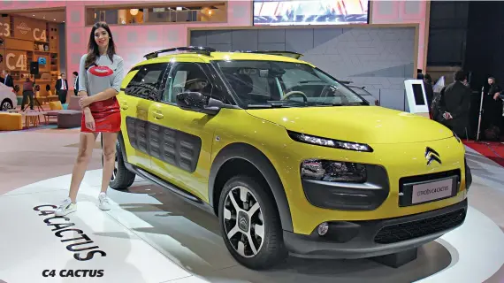  ??  ?? C4 CACTUS