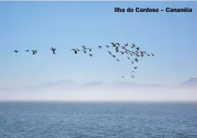  ??  ?? Ilha do Cardoso – Cananéia