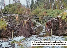  ?? ?? > Downed power and telephone lines in Northumber­land following Storm Arwen