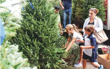 Pressreader Gulf News 2018 12 18 Christmas Tree The Real Deal