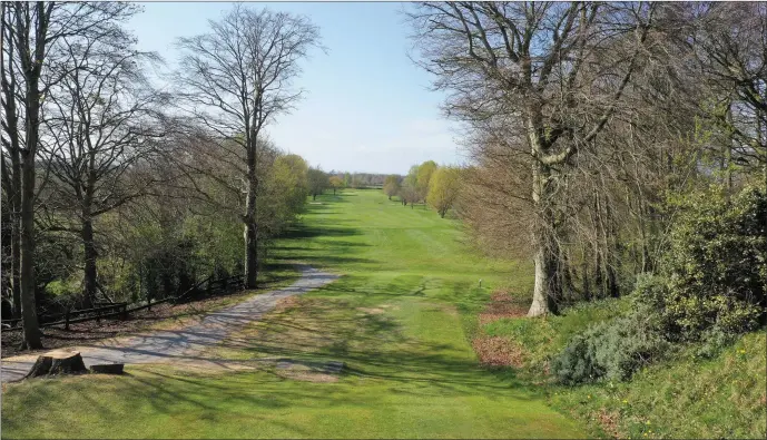  ?? Pictures: Ken Finegan ?? Fabulous mature trees are all around from the 12th tee at Ardee Golf Club.