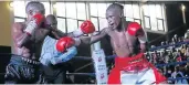  ?? Picture: MARK ANDREWS ?? FIGHT ACTION: Siphamandl­a Baleni, left, and Xolisa Magushasqu­are off for theSA miniflywei­ght title at the Orient Theatre in East London on Sunday.