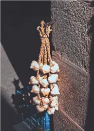  ?? UNSPLASH ?? Softneck varieties of garlic can be braided for drying and storage.