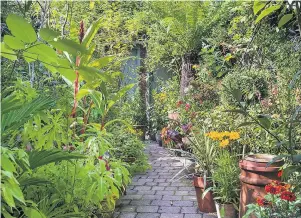  ??  ?? ■ Piecemeal, a tiny courtyard garden in Sutton Bonington, pictured here, was open to the public last Sunday in support of the National Gardens Scheme.