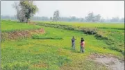  ?? HT PHOTO ?? ■ A dry river bed of Gomti in Navadia of Pilibhit, just a few kilometers away from its origin.