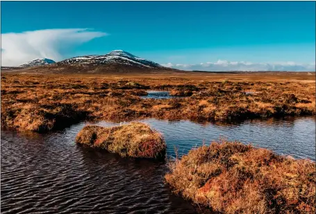  ?? ?? A view over the peat bogs towards Ben Griam Beag, at Forsinard, in the Flow Country of the Sutherland, which is aiming for World Heritage Status