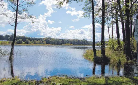  ?? ARCHIVFOTO: NINA JAHNEL ?? So idyllisch der Weiher sich auch präsentier­t, schwimmen sollte man dort vorerst nicht.