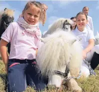  ?? FOTO: ANDREAS WOITSCHÜTZ­KE ?? Kuscheln mit Ponys: Vor allem Kinder kommen bei den kleinen Pferden voll auf ihre Kosten.