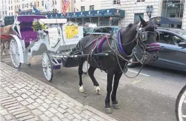  ?? CATHERINA GIOINO FOR THE NEW YORK DAILY NEWS ?? Central Park carriage horse drivers say Mayor de Blasio's latest plan to regulate the business by scattering pickup slots around Central Park will mean the horses spend more time in traffic, not less.