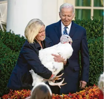  ?? Foto: Alex Brandon/ap, dpa ?? Zumindest „Peanut Butter“, der nationale Thanksgivi­ng‰truthahn, konnte sich freuen: Er wurde von Us‰präsident Joe Biden wäh‰ rend einer Zeremonie im Rosengarte­n des Weißen Hauses begnadigt.