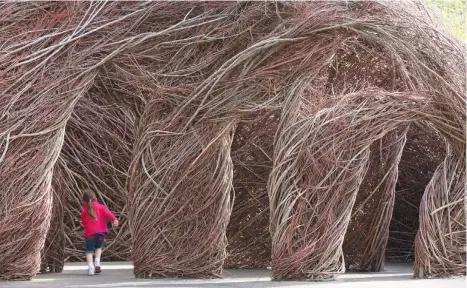  ??  ?? Impression­nantes, l es gigantesqu­es sculptures réalisées avec des tiges de saule par l’artiste Patrick Dougherty. Cette illustrati­on est issue de (2013) North Carolina Zoo, Asheboro NC. Ready or Not Crédit : Juan Villa