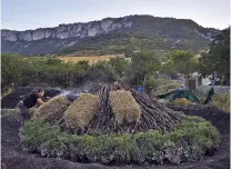  ?? ALVARO BARRIENTOS/ASSOCIATED PRESS ?? Miguel Lander, 56, places straw bales on wood piled up last month as part of the process to produce traditiona­l charcoal, in Spain. Only a handful of profession­al ‘charcoal cookers’ remain active in Spain’s Basque valleys.