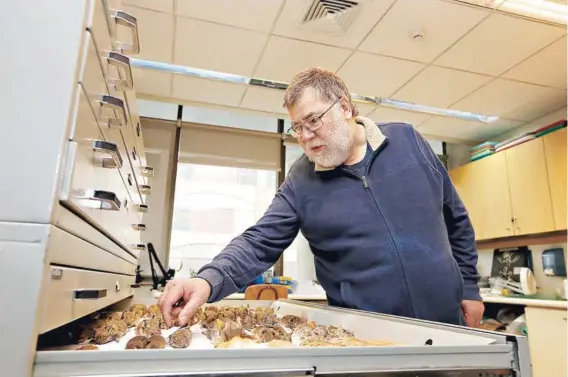  ??  ?? Fabián Jaksic en su laboratori­o en la Universida­d Católica.