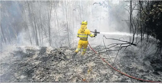  ?? EFE ?? Bomberos forestales del Gobierno de Cantabria durante los trabajos de extinción de un incendio originado ayer.