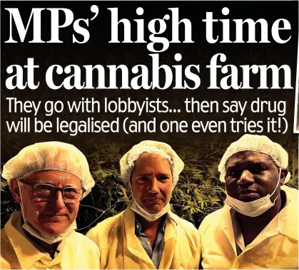  ??  ?? Overseas trip: Sir Norman Lamb, Jonathan Djanogly and David Lammy at the cannabis farm