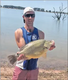  ??  ?? WHOPPER: Dallas Mackley shows of his four-kilogram yellowbell­y on the shores of Taylors Lake.