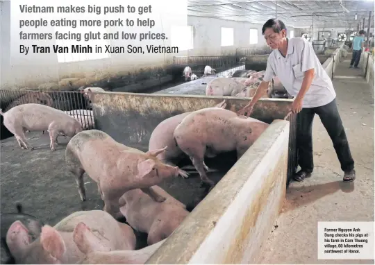  ??  ?? Farmer Nguyen Anh Dung checks his pigs at his farm in Cam Thuong village, 60 kilometres northwest of Hanoi.