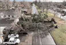  ?? -AP ?? CALIFORNIA
A drone view of a tree that fell during a winter storm with high winds in Sacramento, US.