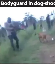 ??  ?? CRUELTY: These video clips show a man shooting a chained dog with a rifle in KwaZulu-Natal.