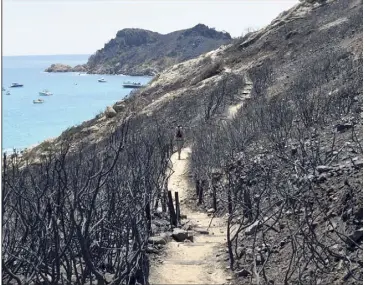  ?? (Photos Sophie Louvey) ?? Les travaux de restaurati­on des terrains incendiés du Cap Taillat et du Cap Lardier devraient avoisiner les   euros.